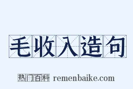 毛收入造句是什么意思的图片